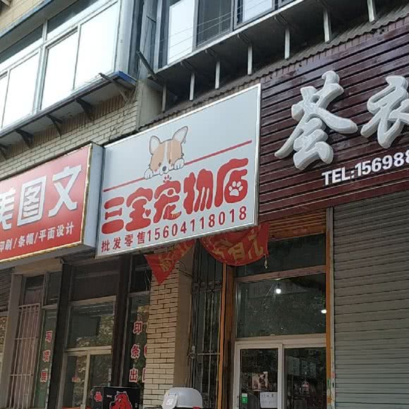三宝宠物店:大连市沙河口区锦绣附近