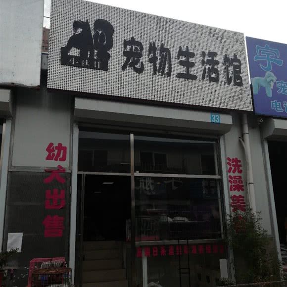 小伙伴宠物生活馆:大连市沙河口区锦绣附近
