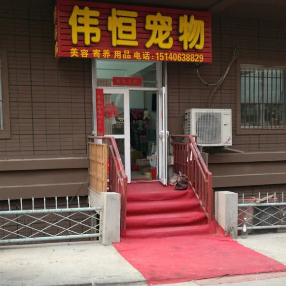 伟恒宠物:大连市沙河口区锦绣附近