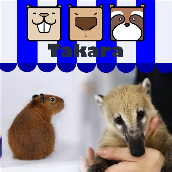 Takara(潮铺街逛小店):北京城区西城区西单附近