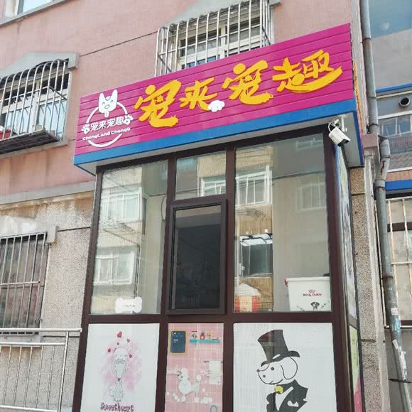 宠来宠趣:大连市沙河口区锦绣附近