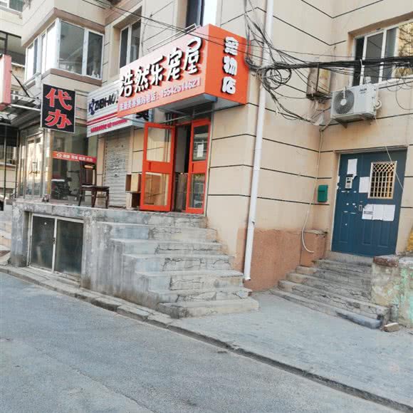 浩然乐宠屋:大连市沙河口区锦绣附近