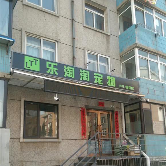 乐淘淘宠物(锦绣店):大连市沙河口区锦绣附近