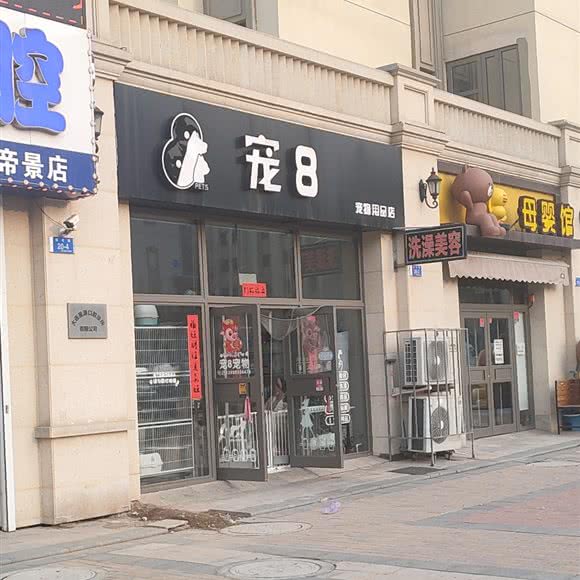 宠8宠物用品店:大连市沙河口区锦绣附近