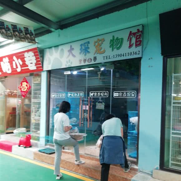 大琛宠物馆:大连市沙河口区南沙附近