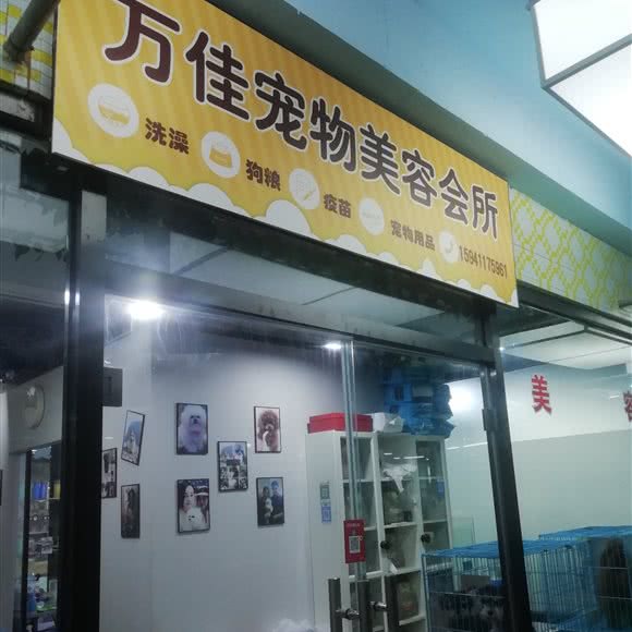 万佳宠物美容会所:大连市沙河口区南沙附近