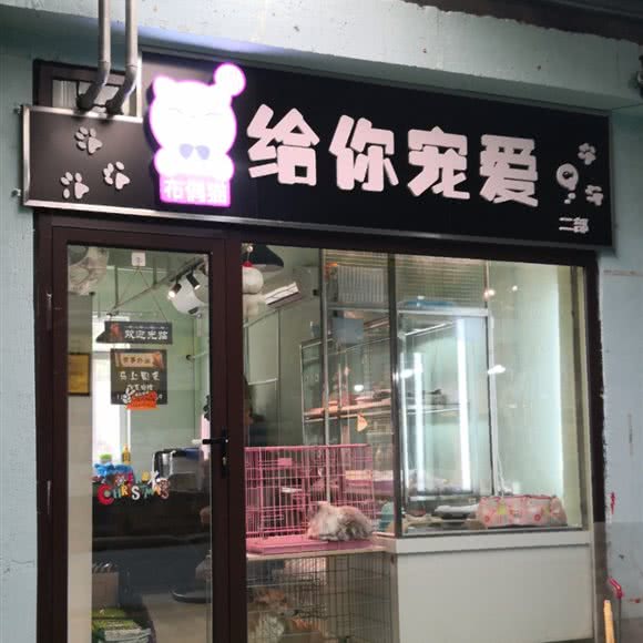布偶熊给你宠爱宠物店:大连市沙河口区南沙附近