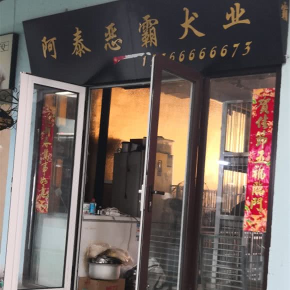 阿泰恶霸犬业:大连市沙河口区南沙附近