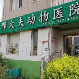 邢大夫动物医院:大连市沙河口区软件园/数码广场附近
