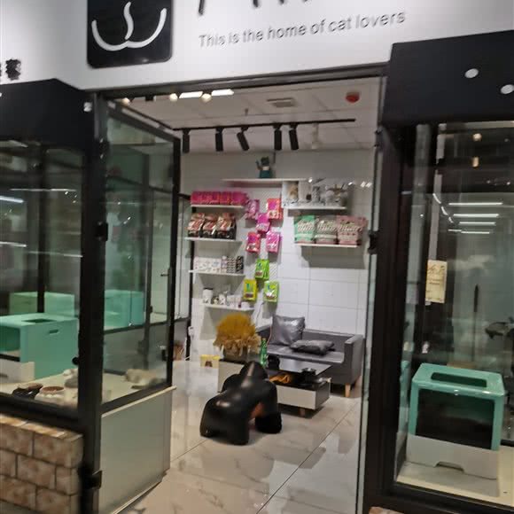 喵喵:大连市沙河口区福佳新天地附近