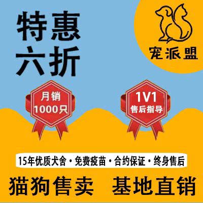 宠派盟·名猫名狗购宠直营店:北京城区朝阳区朝阳大悦城附近