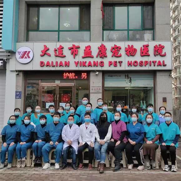 大连市益康宠物医院(万岁街总院):大连市沙河口区白山路附近