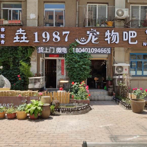 垚1987 宠物吧 总店:大连市沙河口区罗斯福购物中心附近