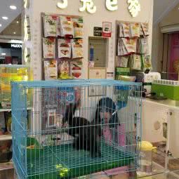 小宠e家:大连市甘井子区万达广场附近