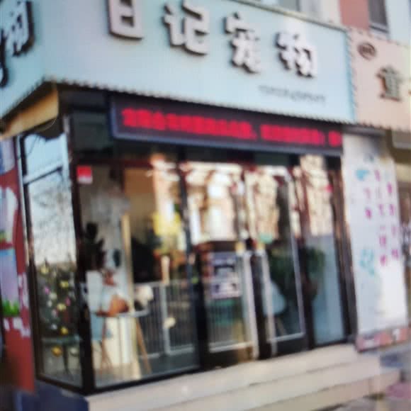 日记宠物:大连市甘井子区周水子附近