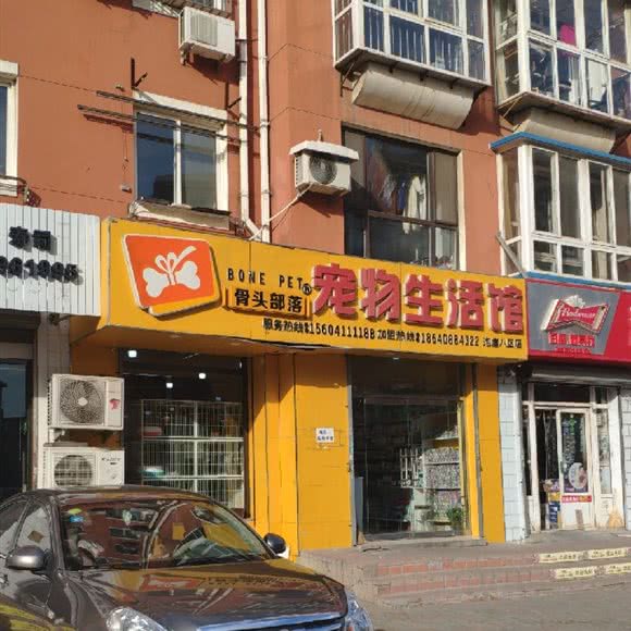 骨头部落宠物生活馆(泡崖八区店):大连市甘井子区周水子附近