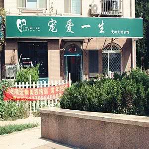 宠爱一生(泡崖子店):大连市甘井子区周水子附近