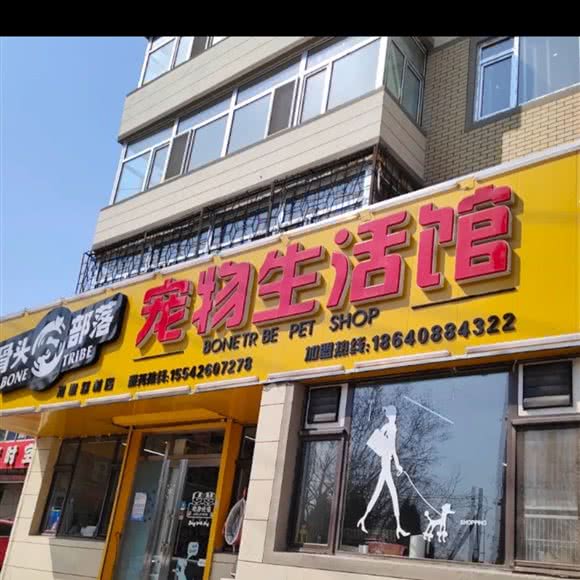 I-DOG宠物生活馆:大连市甘井子区周水子附近