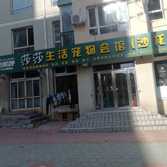 莎莎生活宠物会馆:大连市甘井子区周水子附近