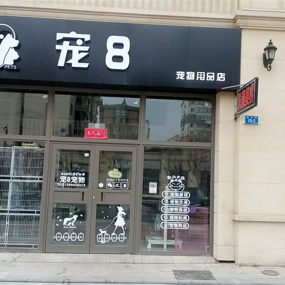 宠8:大连市甘井子区周水子附近