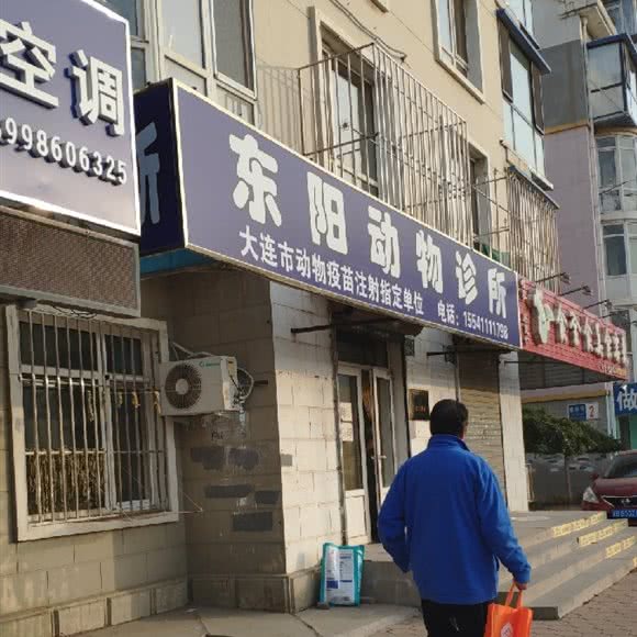 东阳动物诊所:大连市甘井子区周水子附近