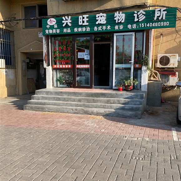 兴旺宠物诊所(万达店):大连市甘井子区周水子附近