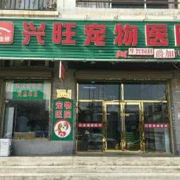 兴旺宠物诊所(松江路店):大连市甘井子区周水子附近