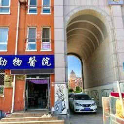 万圣动物医院:大连市甘井子区周水子附近