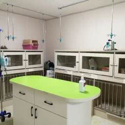 德元宠物医院:大连市甘井子区周水子附近