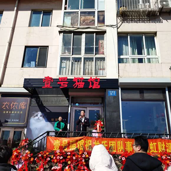 壹号猫馆:大连市甘井子区周水子国际机场附近
