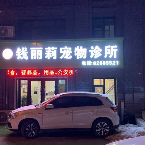 钱丽莉狗狗诊所:大连市甘井子区周水子国际机场附近