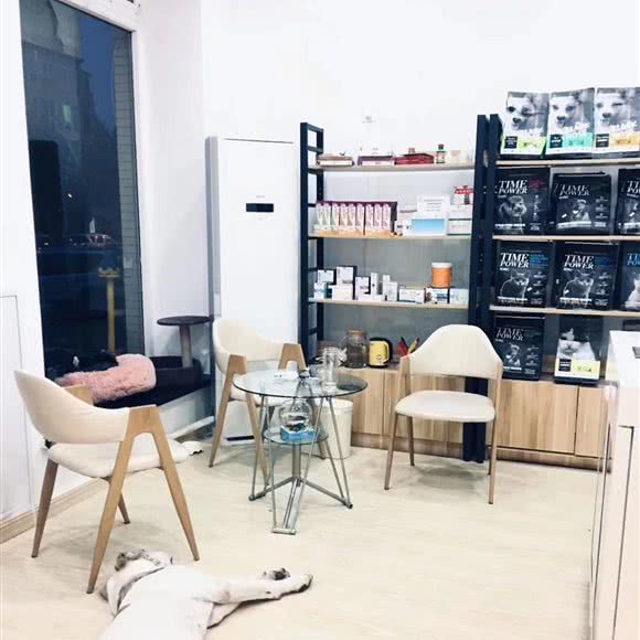 梁先生宠物诊所:大连市甘井子区周水子国际机场附近