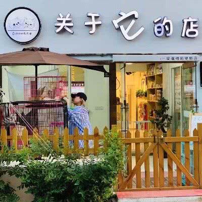 关于它的店宠物店:大连市甘井子区山东路沿线附近