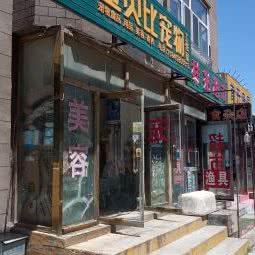 金贝比宠物工作室:大连市甘井子区山东路沿线附近