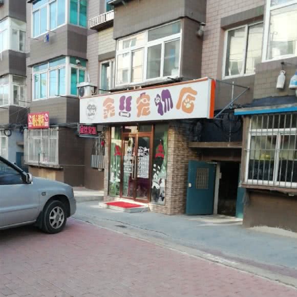 金丝宠物店:大连市甘井子区山东路沿线附近