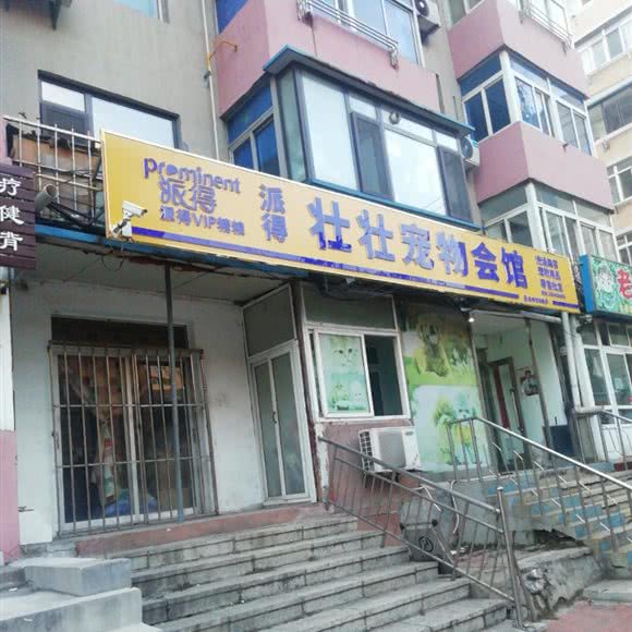 壮壮宠物会馆:大连市甘井子区山东路沿线附近