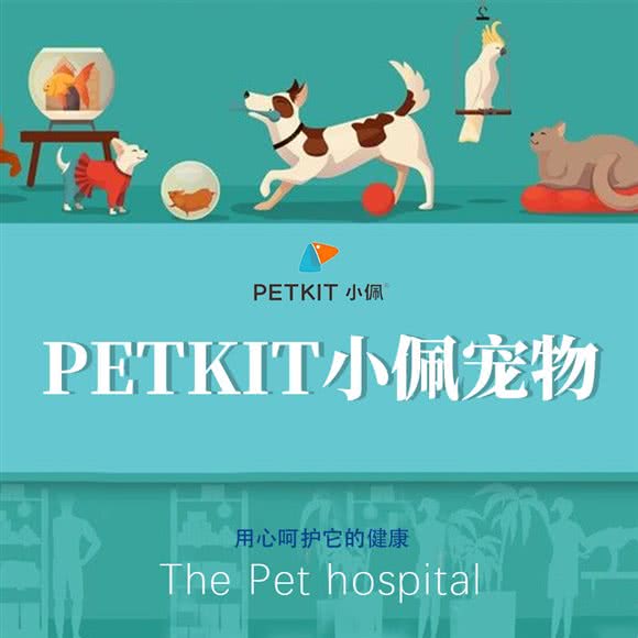 PETKIT 小佩宠物(华南店):大连市甘井子区华南广场附近