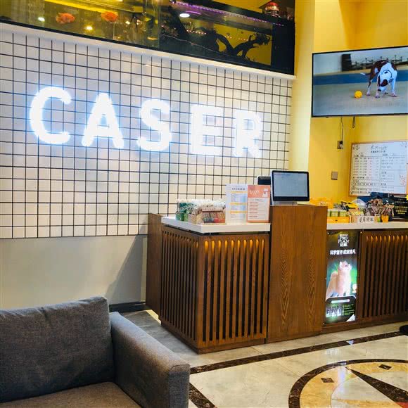 庞培宠物会所:大连市甘井子区华南广场附近