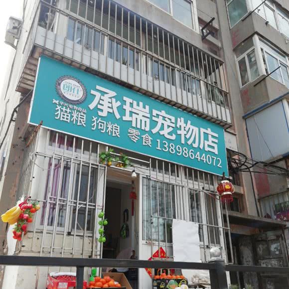 承瑞宠物店:大连市甘井子区华南广场附近