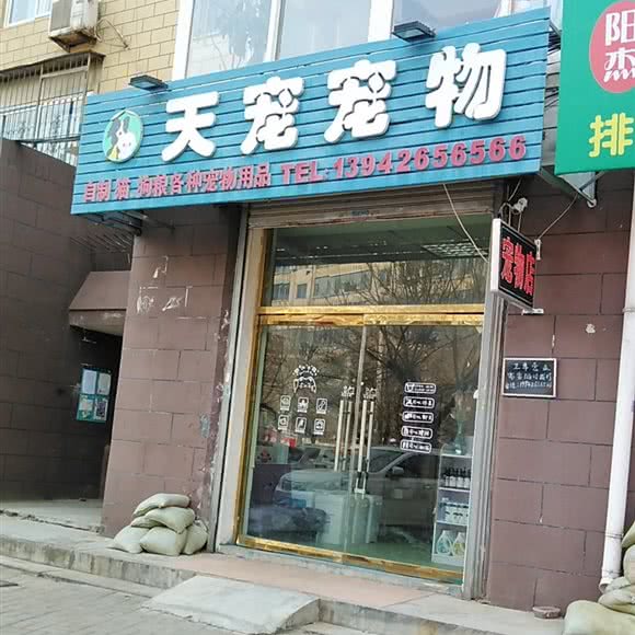 天宠宠物:大连市甘井子区金州附近