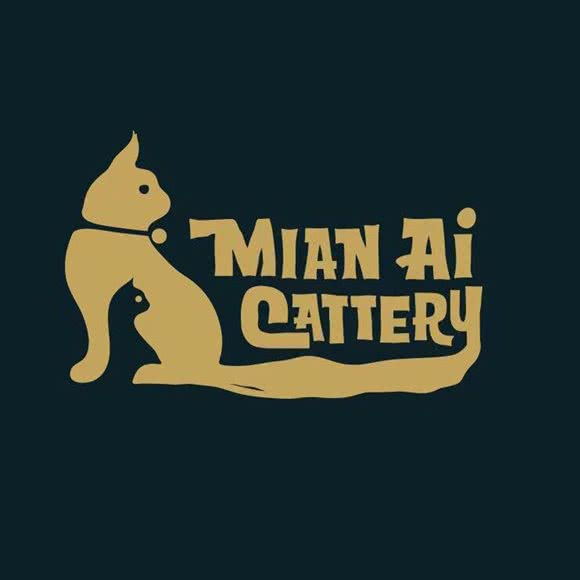 缅爱缅因猫舍:北京城区朝阳区金盏附近