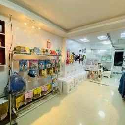 元宝宝宠物:大连市甘井子区金州附近