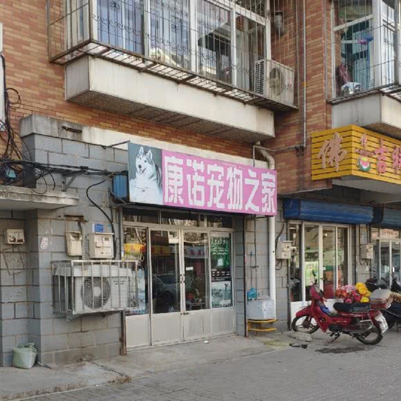康诺宠物之家:大连市甘井子区金州附近