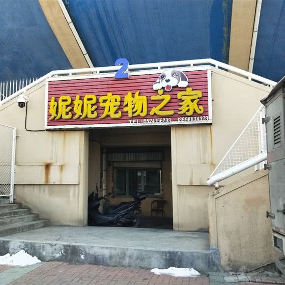 宠物之家:大连市甘井子区金州附近