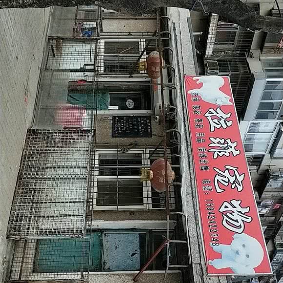 拉菲宠物店:大连市甘井子区金州附近