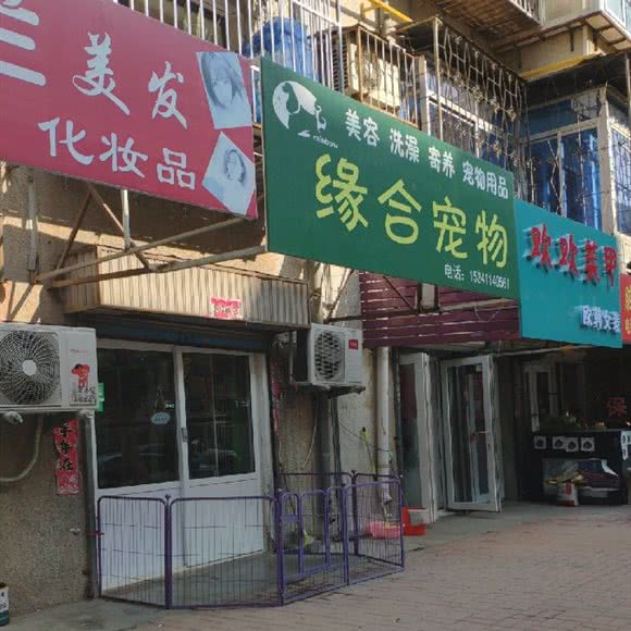 缘合宠物(古城总店):大连市甘井子区金州附近