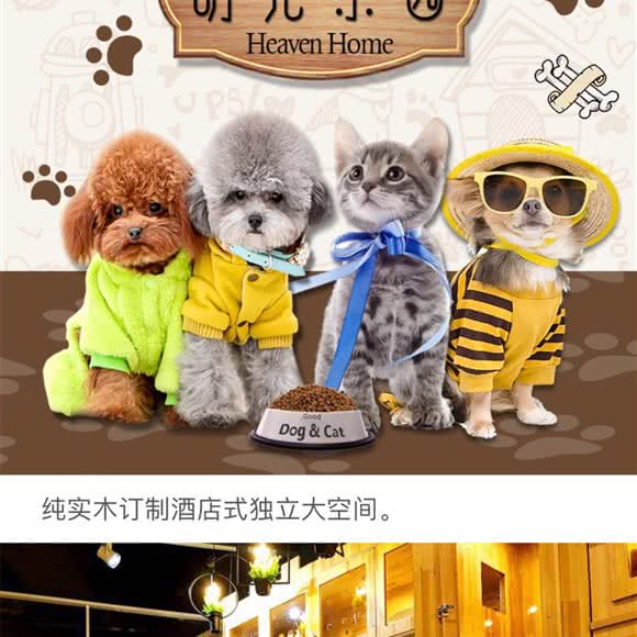 猫咪森林·萌宠乐园·黑狗白猫:北京城区朝阳区朝外大街/世贸天阶附近