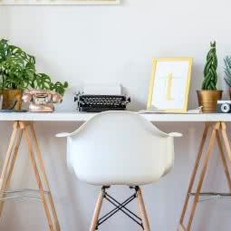 金成宠物医院:大连市甘井子区金州附近