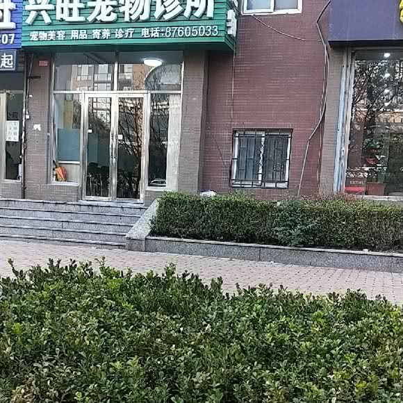 兴旺宠物诊所大连湾分店五部:大连市甘井子区金州附近