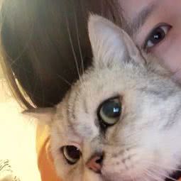 志康宠物诊所:大连市甘井子区金州附近